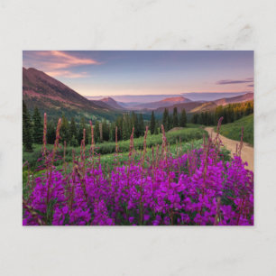 Carte Postale Montagnes   Montagnes Rocheuses, Colorado