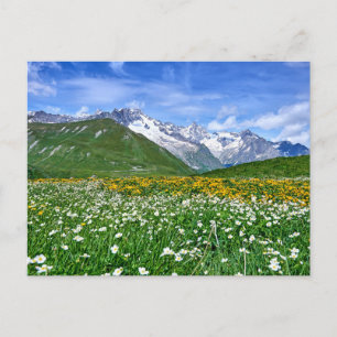 Carte Postale Montagnes   Swiss Alps Valley Spring