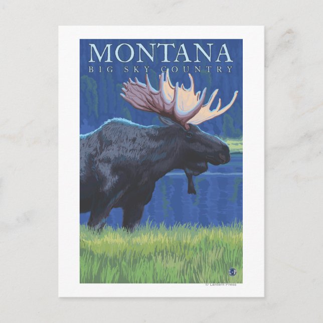 Carte Postale Montana — Big Sky CountryMoose au clair de lune (Devant)
