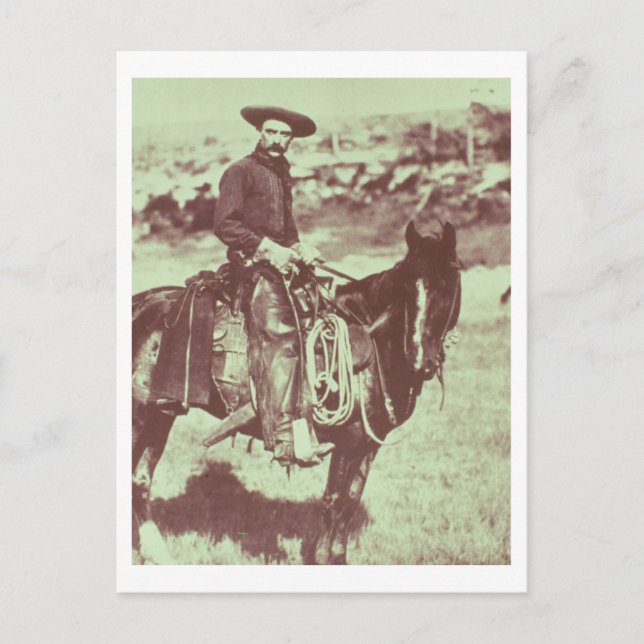 Carte Postale Montana Cowboy, vers 1880 (photo b/w) (Devant)