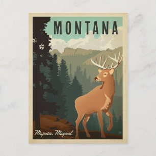 Carte Postale Montana Deer Majestic, Magique