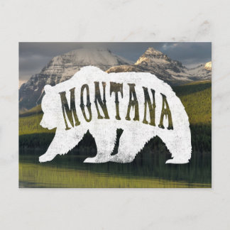 Carte postale Montana Grizzly Bear