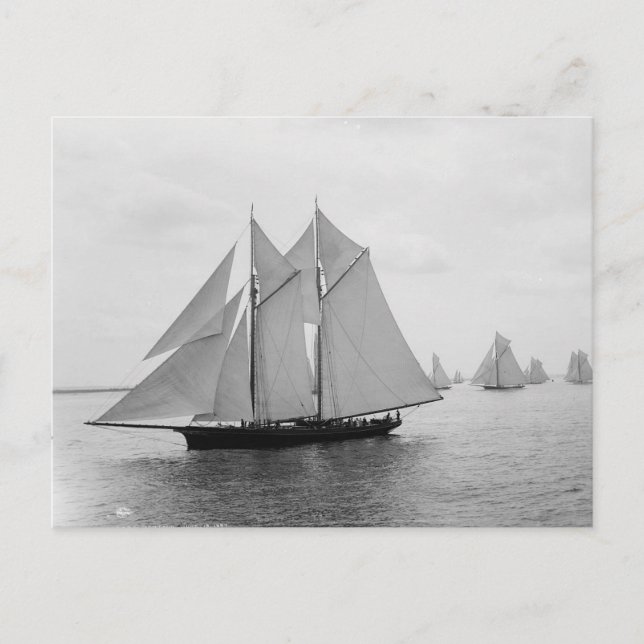 Carte Postale Montauk Sailboats (juin.19.1897) (Devant)