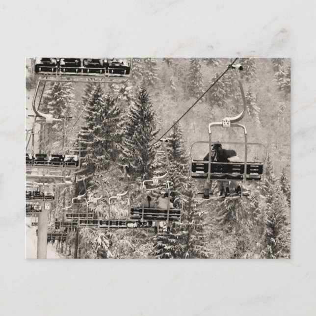 Carte Postale Monte au-dessus des arbres (Devant)