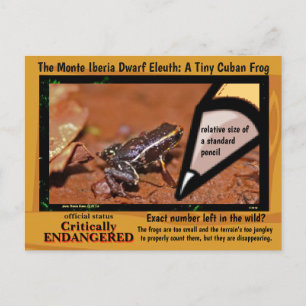 Carte Postale Monte Iberia Eleuth - une grenouille en voie de di