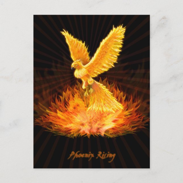 Carte Postale Montée de Phoenix (Devant)