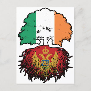 Carte Postale Monténégro - Irlande du Nord - Racines d'arbres