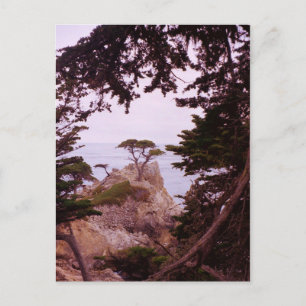 Carte Postale Monterey
