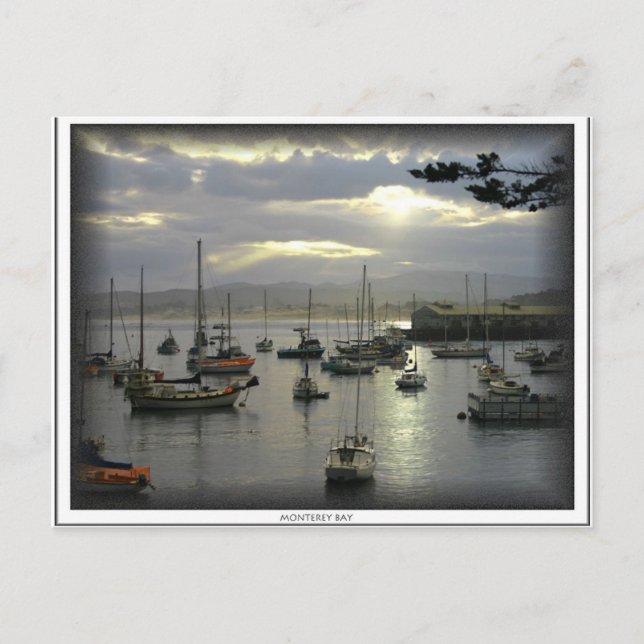 Carte postale Monterey Bay (Devant)