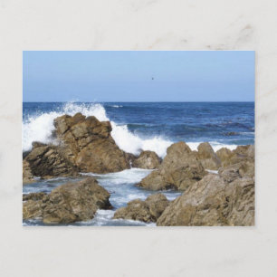 Carte Postale Monterey, CA