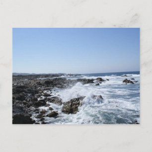 Carte Postale Monterey, CA