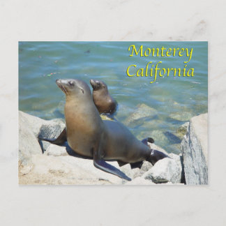 Carte postale Monterey California