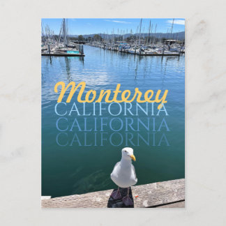 Carte postale Monterey California Seagull and Sail
