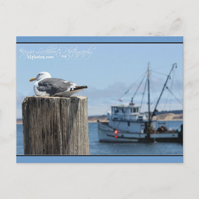 Carte Postale Montre Seagull (Devant)