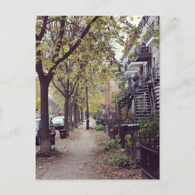 Carte Postale Montréal - Automne (Devant)