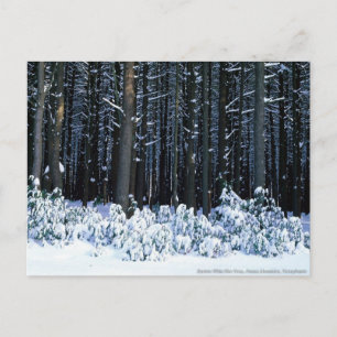 Carte Postale Monts Pocono. Pennsylvanie