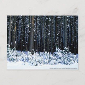 Carte Postale Monts Pocono. Pennsylvanie