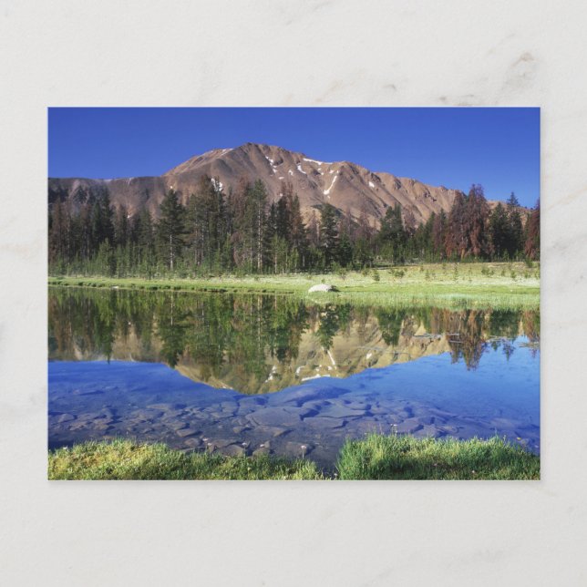 Carte Postale Monts Sawtooth reflété dans le 4 juillet (Devant)
