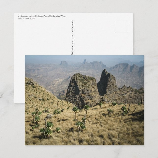 Carte Postale Monts Simien Éthiopie (Devant / Derrière)