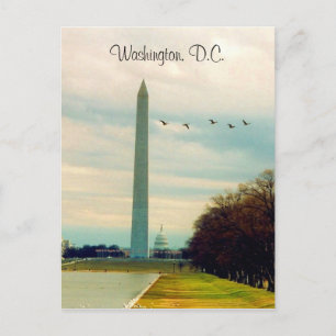 Carte Postale monument de washington