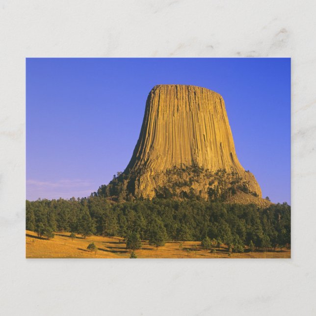 Carte Postale Monument national de la tour Devils dans le Wyomin (Devant)