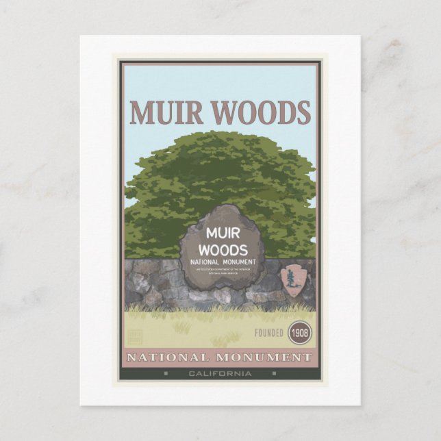 Carte Postale Monument national de Muir Woods 2 (Devant)