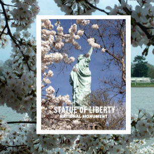 Carte Postale Monument national des cerisiers en fleurs de la st