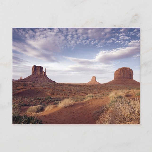 Carte Postale Monument Valley View, Arizona (Devant)