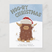 Moo-ry Noël mignon shaggy Vache des Highlands Père