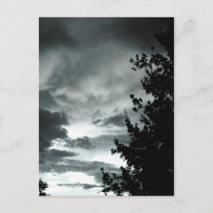 Carte Postale Moody