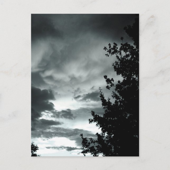 Carte Postale Moody (Devant)