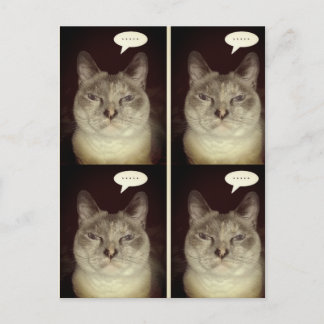 Carte Postale Moody Cat