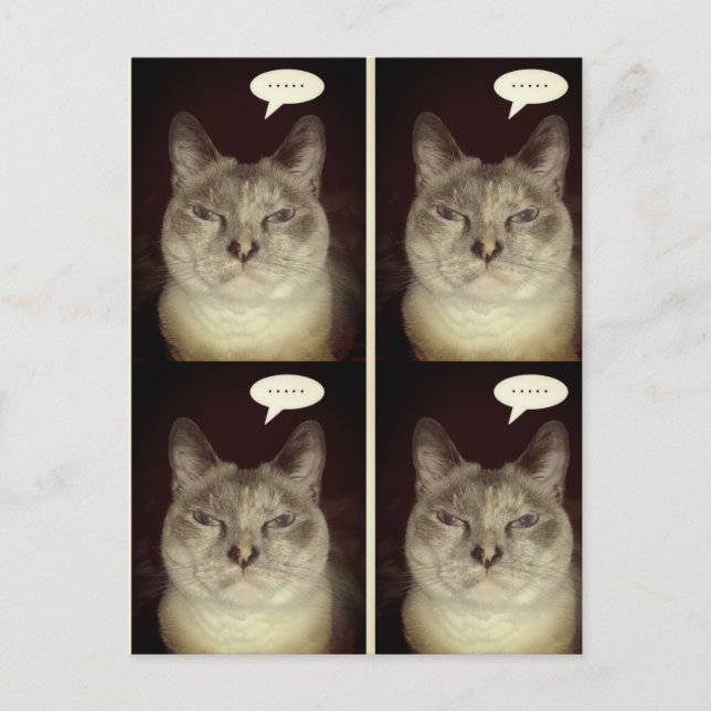 Carte Postale Moody Cat (Devant)