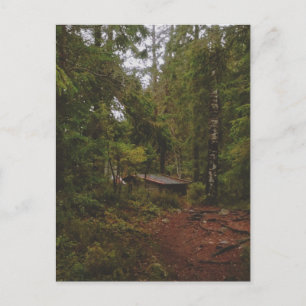 Carte Postale Moody Swedish Forest