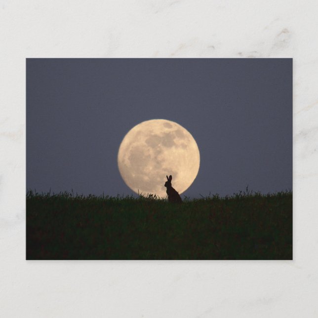 Carte Postale Moongazer (Devant)