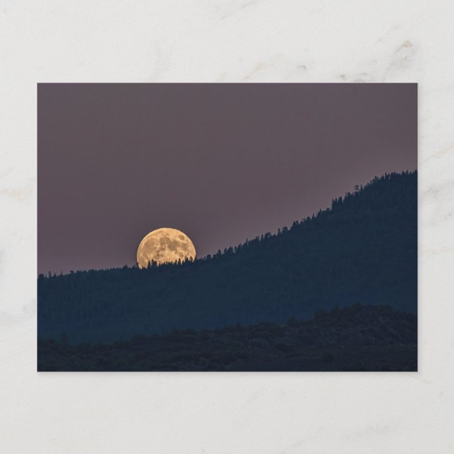 CARTE POSTALE MOONRISE (Devant)