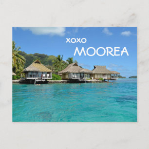 Carte Postale Moorea bungalows with text: 'xoxo Moorea' postcard
