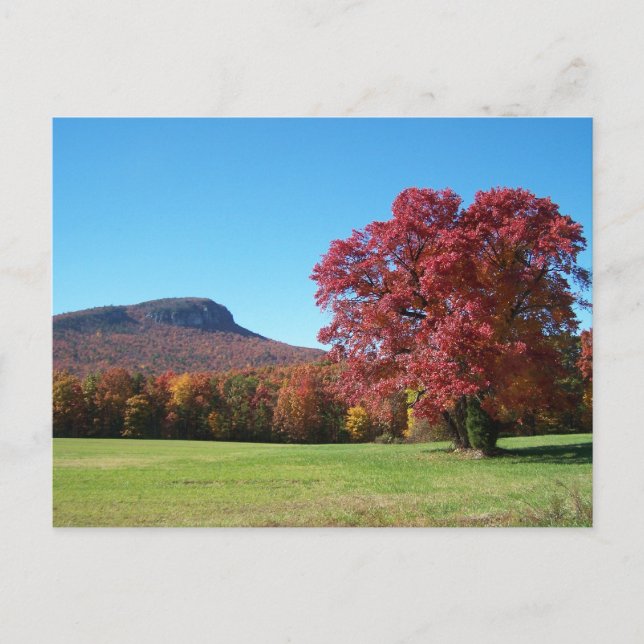 Carte Postale Moore's Knob à Hanging Rock State Park (Devant)