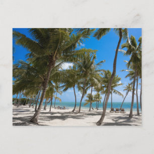 Carte Postale Moorings Resort, Marathon, Key West, 2