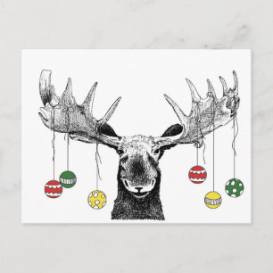 Carte Postale Moose