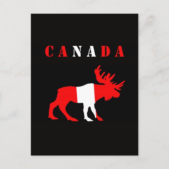 Carte Postale moose canada (Devant)