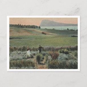 Carte Postale Moosehead Lake ME, Mt Kineo, ferme 1910