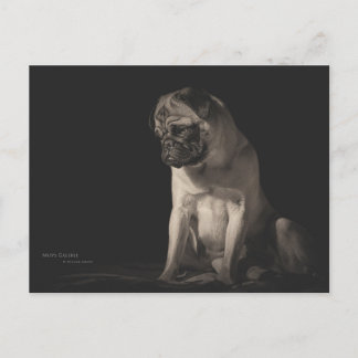 Carte Postale Mops Aura