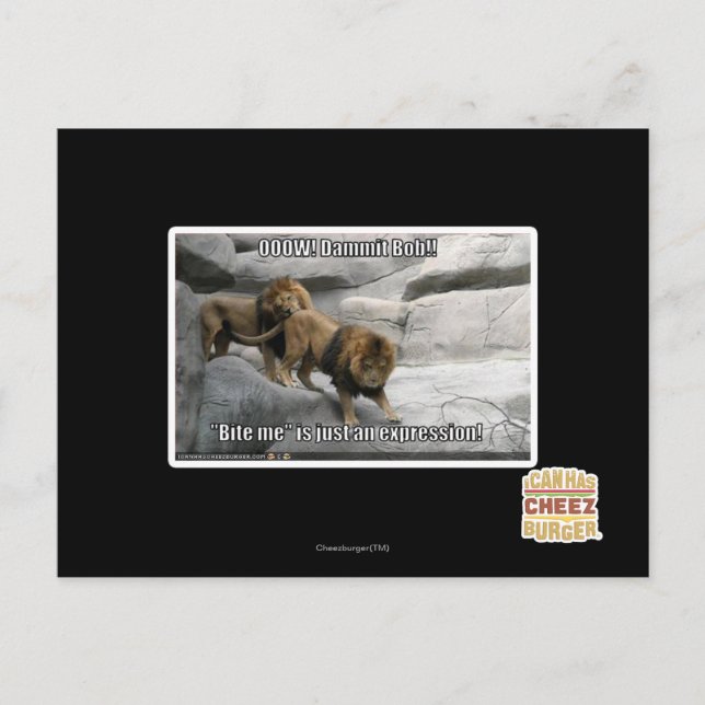 Carte Postale Mordez-moi est juste une expression ! (Devant)