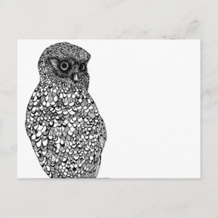 Carte postale Morepork