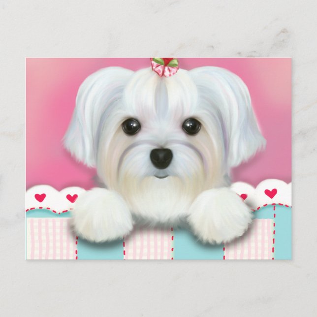 CARTE POSTALE MORKIE SHELLY (Devant)