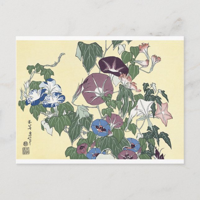 Carte Postale Morning Glories et Grog (Devant)