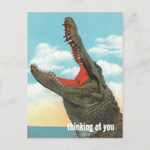 Carte Postale Morsure d'alligator