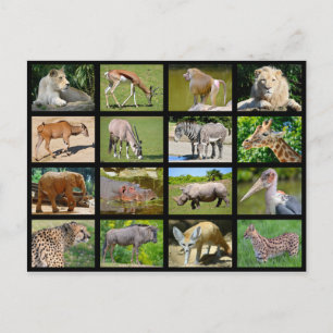 Carte Postale Mosaïque animale africaine