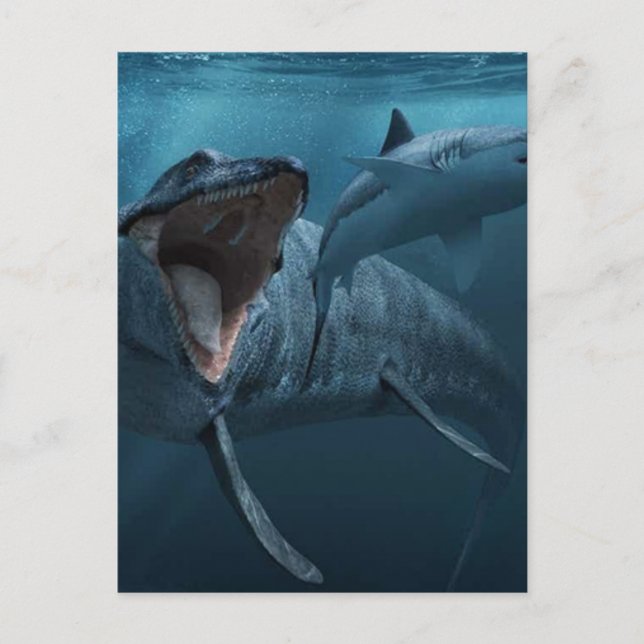 Carte Postale Mosasaurus pourchasing requin poster fixations acr (Devant)